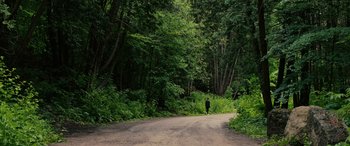 Movie still from “Alice, Darling” (2022), directed by Mary Nighy – A person walking down a dirt road in the woods; Extreme Wide shot, High angle