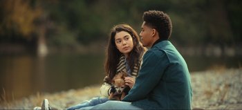 Movie still from “All Together Now” (2020), directed by Brett Haley – A man and a woman sitting next to each other with a small dog; Medium shot, High angle