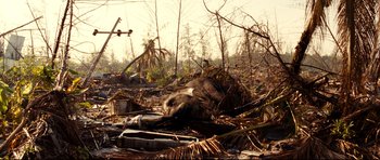 Movie still from “The Impossible” (2012), directed by J.A. Bayona – A dead animal laying in the middle of a forest; Extreme Wide shot, High angle