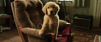 Movie still from “Aquaman” (2018), directed by James Wan – A dog sitting on a chair in a living room; Medium shot, High angle