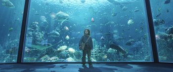 Movie still from “Aquaman” (2018), directed by James Wan – A child standing in front of an aquarium with lots of fish; Wide shot, High angle