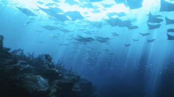 Movie still from “Aquaman” (2018), directed by James Wan – A group of fish swimming in the ocean; Extreme Wide shot, High angle