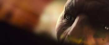 Movie still from “Battleship” (2012), directed by Peter Berg – The eye of a parrot; Extreme Close Up shot, Low angle