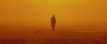 Movie still from “Blade Runner 2049” (2017), directed by Denis Villeneuve – A person standing in the middle of a field; Extreme Wide shot, Over the shoulder angle