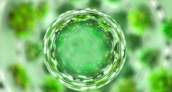 Movie still from “Blush” (2021), directed by Joe Mateo – A glass of water is seen in this image; Extreme Close Up shot, Overhead angle