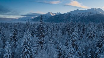 A view of snow covered trees in front of mountains