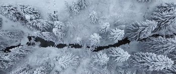 Movie still from “Broken” (2021), directed by Patrick Phillips – Aerial view of trees covered in snow near a river; Extreme Wide shot, Overhead angle
