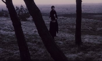 Movie still from “The Sacrifice” (1986), directed by Andrei Tarkovsky – A person standing in a field near some trees; Wide shot, High angle