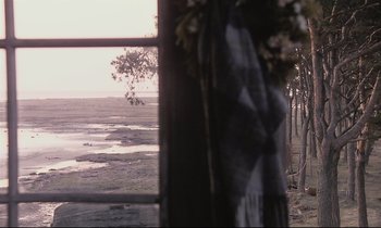 Movie still from “The Sacrifice” (1986), directed by Andrei Tarkovsky – A view of a body of water from a window; Wide shot, Over the shoulder angle