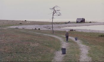 Movie still from “The Sacrifice” (1986), directed by Andrei Tarkovsky – A person walking down a dirt road near a tree; Extreme Wide shot, High angle
