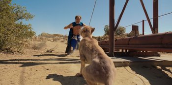 Movie still from “Chupa” (2023), directed by Jonás Cuarón – Wide shot, Low angle