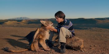 Movie still from “Chupa” (2023), directed by Jonás Cuarón – Medium shot, High angle