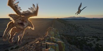 Movie still from “Chupa” (2023), directed by Jonás Cuarón – Extreme Wide shot, Low angle
