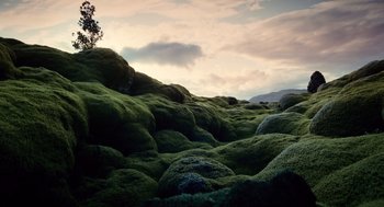 Movie still from “The Tree of Life” (2011), directed by Terrence Malick – A grassy hill with a tree in the background; Extreme Wide shot, High angle