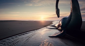 Movie still from “The Tree of Life” (2011), directed by Terrence Malick – A person jumping in the air over a beach; Extreme Wide shot, High angle