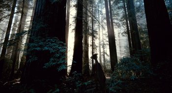 Movie still from “The Tree of Life” (2011), directed by Terrence Malick – A cat standing in the middle of a forest; Extreme Wide shot, Low angle