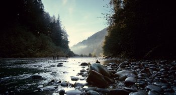 Movie still from “The Tree of Life” (2011), directed by Terrence Malick – A river running through a wooded area near a forest; Extreme Wide shot, High angle