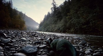 Movie still from “The Tree of Life” (2011), directed by Terrence Malick – A dog laying on the rocks near a river; Extreme Wide shot, High angle