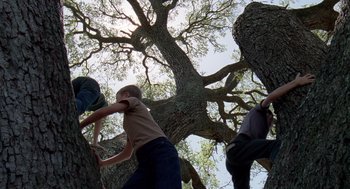 Movie still from “The Tree of Life” (2011), directed by Terrence Malick – A group of people climbing a tree in a forest; Wide shot, Low angle