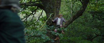 Movie still from “Cocaine Bear” (2023), directed by Elizabeth Banks – A man climbing up a tree in the woods; Wide shot, Low angle