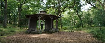 Movie still from “Cocaine Bear” (2023), directed by Elizabeth Banks – A man standing in front of a gazebo in the middle of a forest; Extreme Wide shot, Low angle