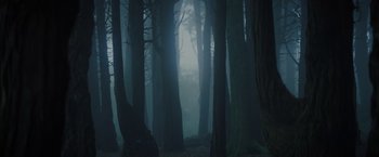 Movie still from “Color Out of Space” (2019), directed by Richard Stanley – A dark forest with trees in the fog; Extreme Wide shot, Low angle