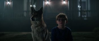 Movie still from “Color Out of Space” (2019), directed by Richard Stanley – A boy and a dog sitting next to each other in the dark; Medium shot, Low angle
