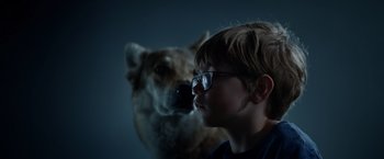 Movie still from “Color Out of Space” (2019), directed by Richard Stanley – A young boy wearing glasses and a dog; Close Up shot, Over the shoulder angle