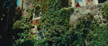 Movie still from “Contempt” (1963), directed by Jean-Luc Godard – A man standing in front of a wall covered in ivy; Extreme Wide shot, Low angle