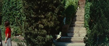 A cat sitting on the steps in front of some bushes