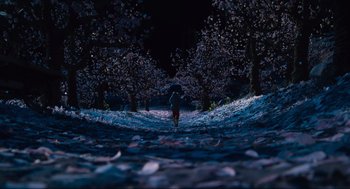 Movie still from “Coraline” (2009), directed by Henry Selick – A person walking down a path in the woods at night; Extreme Wide shot, High angle