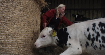 Movie still from “Cow” (2021), directed by Andrea Arnold – A woman standing next to a black and white cow; Medium shot, High angle