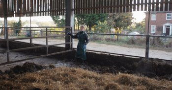 Movie still from “Cow” (2021), directed by Andrea Arnold – A woman in a green apron standing in a barn; Wide shot, High angle