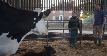 Movie still from “Cow” (2021), directed by Andrea Arnold – A woman standing next to a black and white cow in a pen; Wide shot, Over the shoulder angle