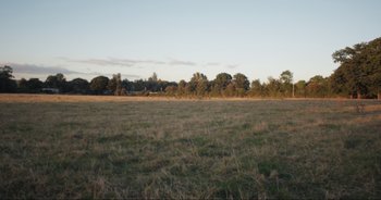 Movie still from “Cow” (2021), directed by Andrea Arnold – An empty field with trees in the background; Extreme Wide shot, High angle