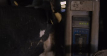 Movie still from “Cow” (2021), directed by Andrea Arnold – A blurry picture of a person with a cat; Close Up shot, High angle