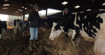 Movie still from “Cow” (2021), directed by Andrea Arnold – A couple of people standing next to some cows; Wide shot, High angle