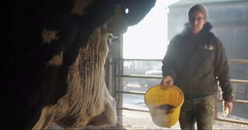 Movie still from “Cow” (2021), directed by Andrea Arnold – A person holding a bucket in front of a cow; Medium shot, Over the shoulder angle