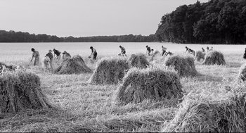 Movie still from “The White Ribbon” (2009), directed by Michael Haneke – Extreme Wide shot, High angle