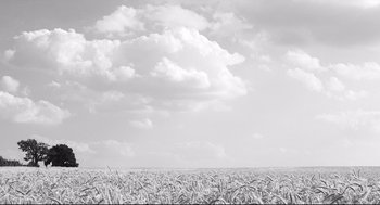 Movie still from “The White Ribbon” (2009), directed by Michael Haneke – Extreme Wide shot, Low angle