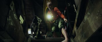 Movie still from “Crawl” (2019), directed by Alexandre Aja – A man and a dog in a room with lights on stairs; Wide shot, Low angle