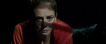 Movie still from “Crawl” (2019), directed by Alexandre Aja – A person wearing a red shirt; Close Up shot, Low angle