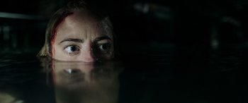 Movie still from “Crawl” (2019), directed by Alexandre Aja – A woman with a blood splattered face in the water; Close Up shot, Low angle