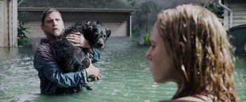 Movie still from “Crawl” (2019), directed by Alexandre Aja – A man and a woman in a flooded area with a black dog; Medium shot, High angle