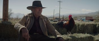 Movie still from “Cry Macho” (2021), directed by Clint Eastwood – An old man sitting on hay with a rooster in the background; Medium shot, Low angle