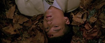 Movie still from “Crying Freeman” (1995), directed by Christophe Gans – A young boy laying in a pile of fall leaves; Close Up shot, Overhead angle