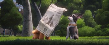 Movie still from “DC League of Super-Pets” (2022), directed by Jared Stern – A dog and a stuffed animal are sitting in the grass; Wide shot, Low angle