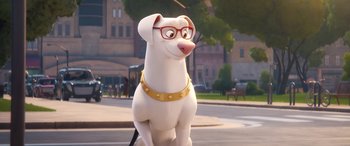 Movie still from “DC League of Super-Pets” (2022), directed by Jared Stern – A dog wearing glasses and a gold collar standing on the street; Close Up shot, High angle