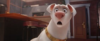 Movie still from “DC League of Super-Pets” (2022), directed by Jared Stern – A dog with a gold collar is looking surprised; Close Up shot, High angle