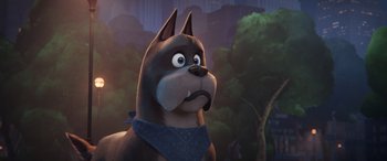 Movie still from “DC League of Super-Pets” (2022), directed by Jared Stern – A dog with a bandana on his head; Close Up shot, Low angle